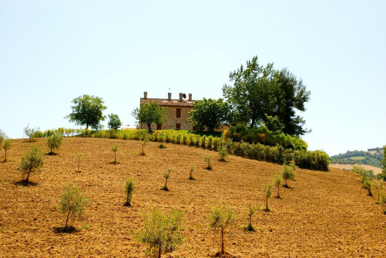 Il Casale Di Giovanna Offida Exterior photo